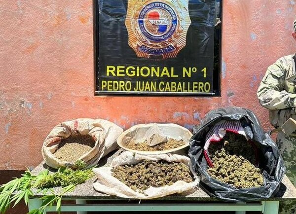 Senad incautó más de 15 kilos de marihuana en una vivienda de Cerro Cora'i