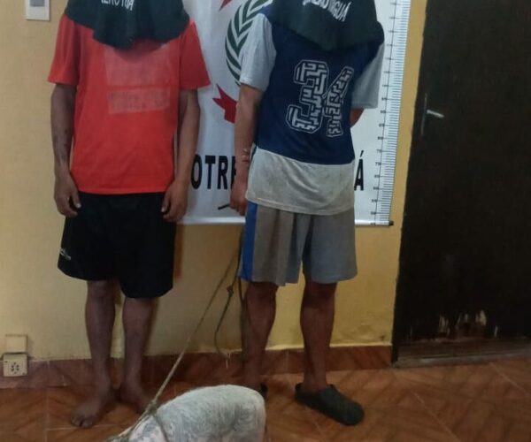 Dos pendex caen presos con un “kuchi” que querían vender
