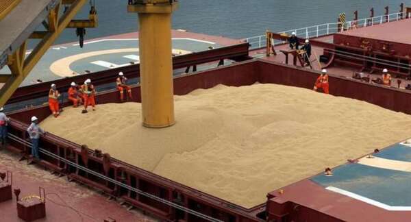 Argentina habilitó por dos meses un tipo de cambio preferencial para exportaciones de soja