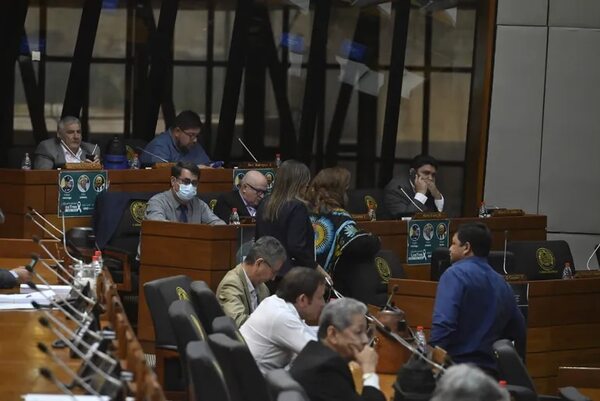 Diputados buscarán levantar veto a ley que deduce el 100% del IVA en compra de supermercados - Nacionales - ABC Color