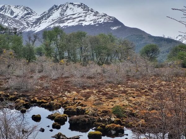 Vacaciones de verano en Ushuaia, un destino de belleza exuberante - Viajes - ABC Color