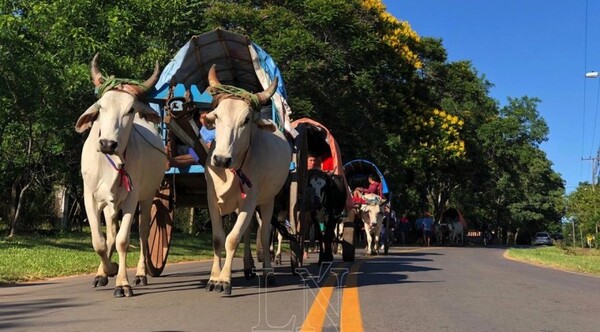 Diario HOY | Controlarán bienestar de animales en Caacupé