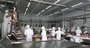 Exportación de carne paraguaya al mundo superaría los USD 2.000 millones al cierre del 2022 - .::Agencia IP::.
