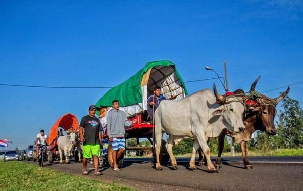 Controlarán bienestar de animales en Caacupé – Prensa 5