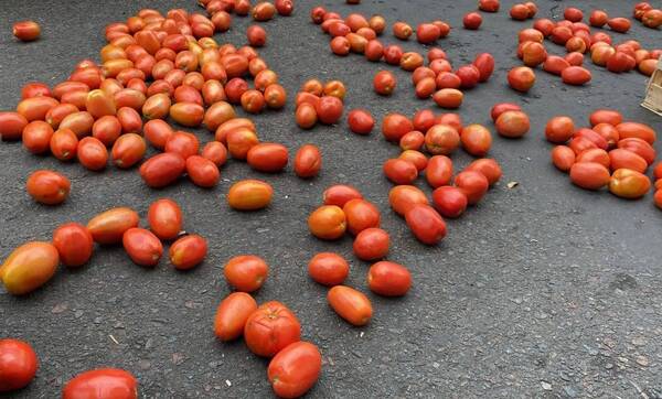 Productores de tomates piden que se ponga "fin" al contrabando