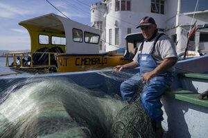 Reciclar las redes de pesca, un reto difícil para los pequeños pescadores de Chile - MarketData