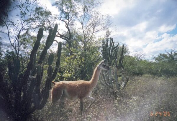 “Los Médanos no se tocan”: invitan a firmar petición para proteger el parque nacional - Nacionales - ABC Color