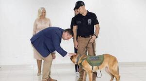 Canes y operadores son condecorados por ser participes de la lucha contra el narcotráfico – Prensa 5