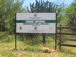 Organizaciones y empresas piden proteger el Parque Nacional Médanos del Chaco, hogar de especies en vía de extinción como jaguareté - Revista PLUS