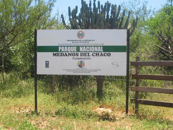 Organizaciones y empresas piden proteger el Parque Nacional Médanos del Chaco, hogar de especies en vía de extinción como jaguareté - Revista PLUS