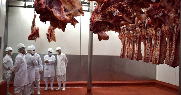 La Nación / Interés de Canadá por la carne bovina paraguaya genera satisfacción al Senacsa