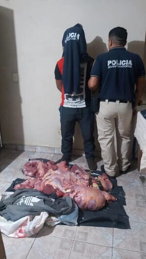 Detienen a persona por supuesto hecho de abigeato en Ayolas - Policiales - ABC Color