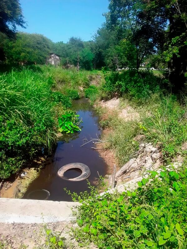 Limpio: vecinos denuncian que frigorífico vierte desechos en arroyo y genera olor nauseabundo - Nacionales - ABC Color