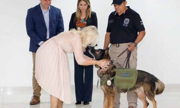 (VIDEO) ¡Ambeña! Seis Jagua’i de la Senad se “jubilaron”