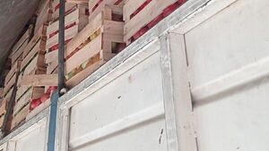 "Vamos a hacer sarambí", advierten tomateros que exigen frenar contrabando