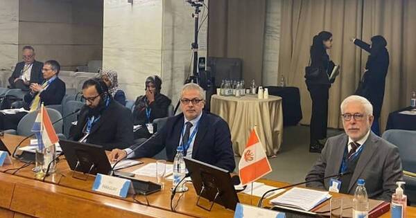 La Nación / Paraguay es electo como miembro del comité permanente del IDLO