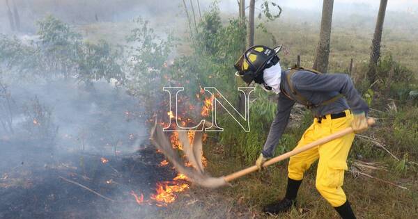 La Nación / Cortos circuitos e incendios forestales, una constante para los bomberos en esta época
