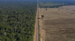 Diario HOY | Deforestación en Amazonía brasileña cayó en último año, pero subió 60% bajo Bolsonaro