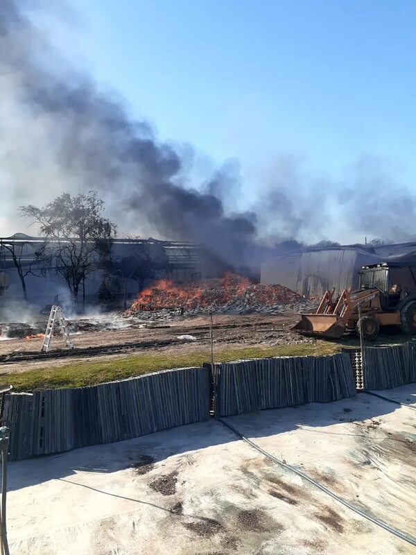 Incendio de gran magnitud afectó a una empresa de reforestación en Carmelo Peralta - Noticias del Chaco - ABC Color