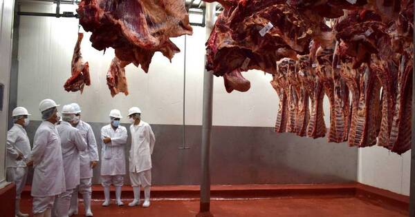 La Nación / Interés de Canadá por carne bovina genera satisfacción
