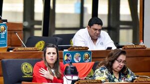 Preocupa a diputada la "cortina de humo" creada con convenio de UE