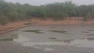 Comunidad indígena Ayoreo del Chaco sufre la falta de agua