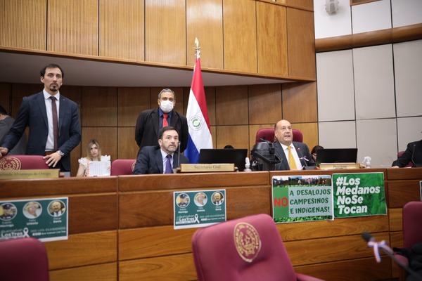 Diario HOY | En el Senado piden “declarar so’o” en la semana de las internas