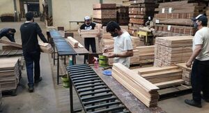Fepama apuesta por la trazabilidad y certificación de las plantaciones para el desarrollo sostenible