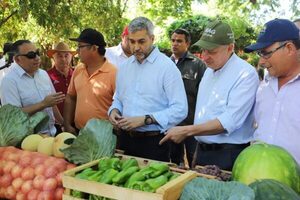 Abdo acompañó cierre de cosecha de productores de papa y cebolla - El Trueno