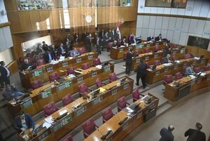 Senado acepta veto parcial sobre energías renovables  - Política - ABC Color