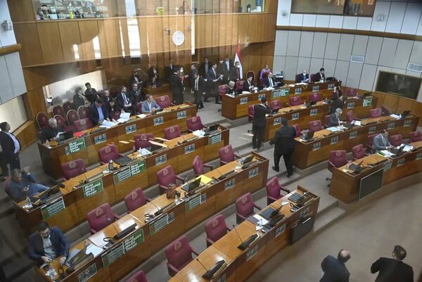 Senado acepta veto parcial sobre energías renovables - Política - ABC Color