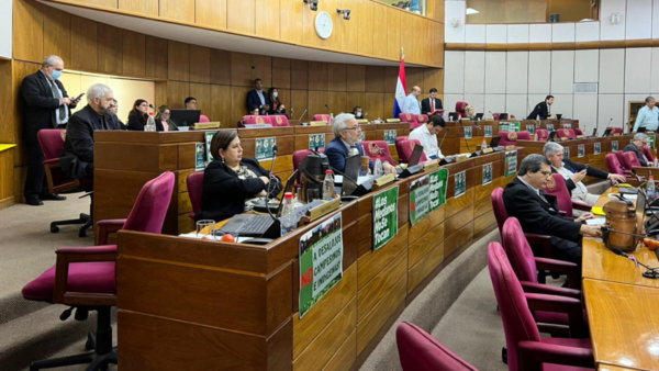 Senado posterga proyecto de tren de cercanías hasta el martes - El Independiente