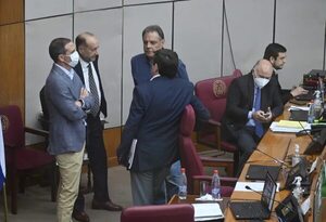 Senado deja sin quórum sesión y entierra  compensación a  exobreros de Itaipú - Política - ABC Color