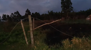 Dos niñas mueren electrocutadas tras caída de tendido eléctrico de la ANDE - Noticiero Paraguay