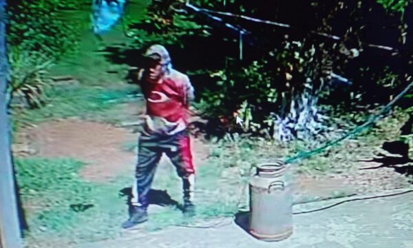 “Boby” mantiene en zozobra a vecinos en Franco