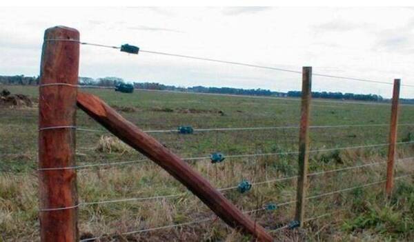 Tragedia en Caaguazú: Dos niñas de 5 añitos fallecieron electrocutadas