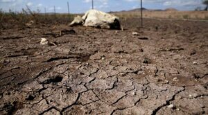 Declaran emergencia en todo el Chaco por sequía