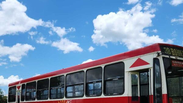 Convirtió un colectivo en discoteca y es sensación