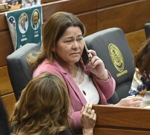 A falta de merienda de UE, “una mamá laboriosa hasta va a tostarle el maní a su hijo”, dice diputada - Política - ABC Color