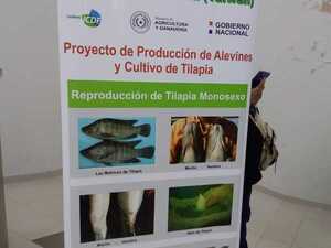 Gobernación lanza proyecto de producción de alevines y cultivo de tilapia - Radio Imperio