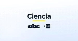 Bruselas lanza iniciativa para proporcionar ordenadores y teléfonos a Ucrania - Ciencia - ABC Color