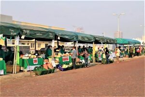 Feria de agricultura familiar: los productos más requeridos durante el 2022 - Nacionales - ABC Color