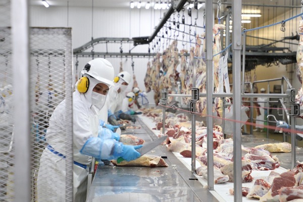 Paraguay exportó más de 300.000 toneladas de carne bovina este 2022 - .::Agencia IP::.