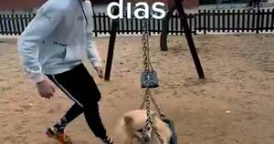 La Nación / “Mi vecino robó mi perro”, el short más visto de YouTube este año