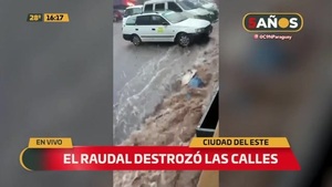 Diluvio en el Este - C9N
