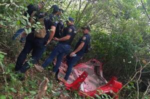 Usaban un monte como desarmadero de autos "chilere" robados