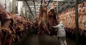 Paraguay exportó más de 300.000 toneladas de carne bovina este 2022
