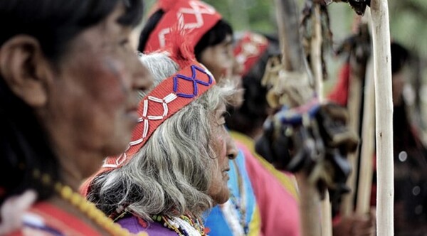 Estrenan serie animada sobre la deforestación del Chaco paraguayo - El Independiente