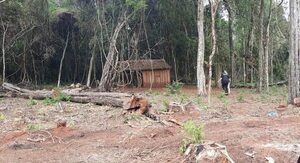 Un guardia gravemente herido tras ataque en estancia de Capiibary - Policiales - ABC Color