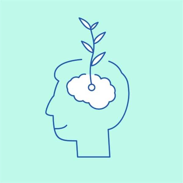 Qué es una mentalidad de crecimiento y cómo puedes cultivarla - San Lorenzo Hoy